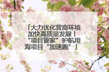 大力优化营商环境 加快高质量发展丨“项目管家”护航用海项目“加速跑”