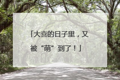 大喜的日子里，又被“萌”到了！