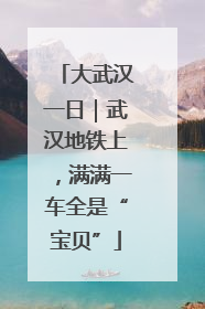 大武汉一日｜武汉地铁上，满满一车全是“宝贝”