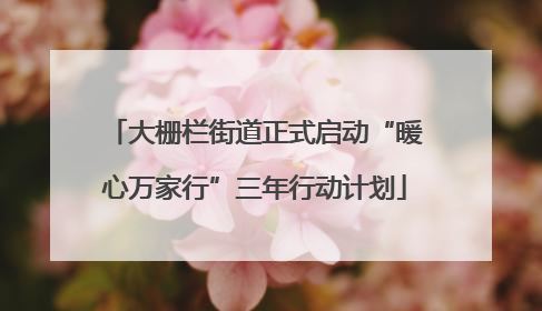 大栅栏街道正式启动“暖心万家行”三年行动计划