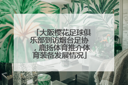 大阪樱花足球俱乐部到访烟台足协，鹿扬体育推介体育装备发展情况
