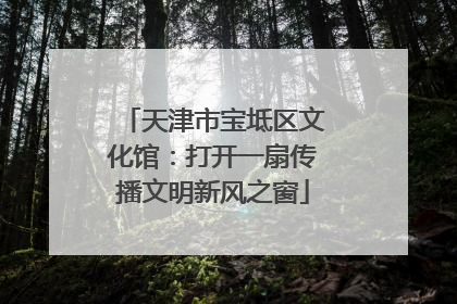 天津市宝坻区文化馆：打开一扇传播文明新风之窗