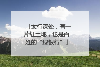 太行深处，有一片红土地，也是百姓的“绿银行”