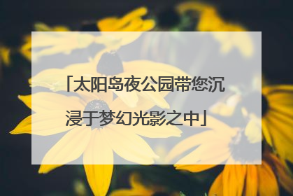 太阳岛夜公园带您沉浸于梦幻光影之中