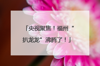 央视聚焦！福州“扒龙龙”沸腾了！
