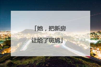 她，把新房让给了斑鸠