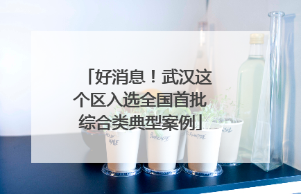 好消息！武汉这个区入选全国首批综合类典型案例