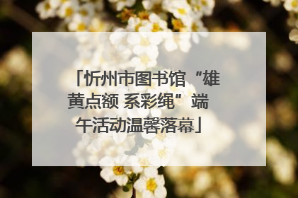 忻州市图书馆“雄黄点额 系彩绳”端午活动温馨落幕