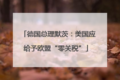 德国总理默茨：美国应给予欧盟“零关税”