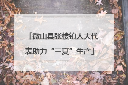 微山县张楼镇人大代表助力“三夏”生产