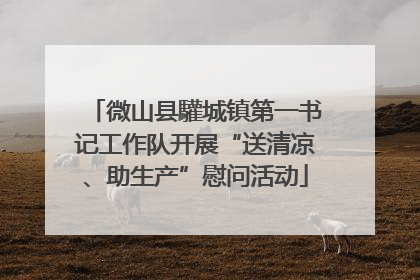 微山县驩城镇第一书记工作队开展“送清凉、助生产”慰问活动