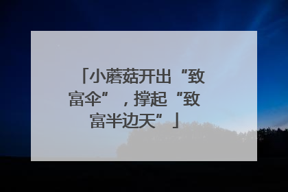 小蘑菇开出“致富伞”，撑起“致富半边天”