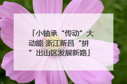 小轴承“传动”大动能 浙江新昌“拼”出山区发展新路