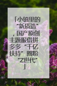 小镇里的“新质造”，国产原创主题服借拼多多“千亿扶持”圈粉“Z世代”