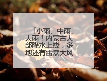 小雨、中雨、大雨！内蒙古大部降水上线，多地还有雷暴大风或冰雹天气