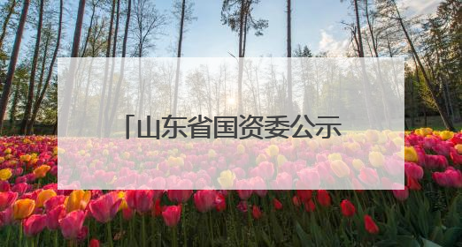 山东省国资委公示省属企业“两优一先”拟表彰对象名单，共250名（个）党员和党组织