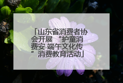 山东省消费者协会开展 “护童消费安 端午文化传”消费教育活动