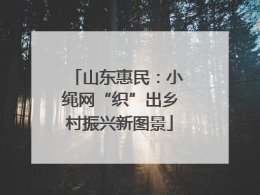 山东惠民：小绳网“织”出乡村振兴新图景