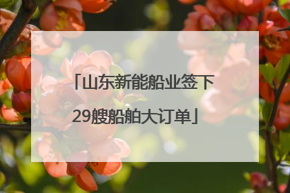 山东新能船业签下29艘船舶大订单