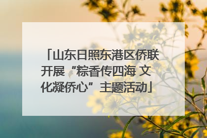山东日照东港区侨联开展“粽香传四海 文化凝侨心”主题活动