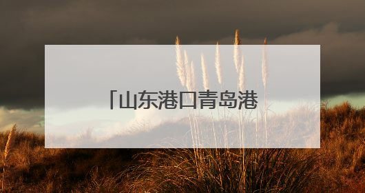 山东港口青岛港完成北方首单船舶生物燃料油加注