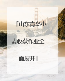 山东青岛小麦收获作业全面展开