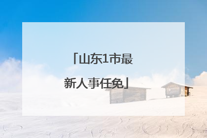 山东1市最新人事任免