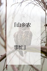 山乡农事忙
