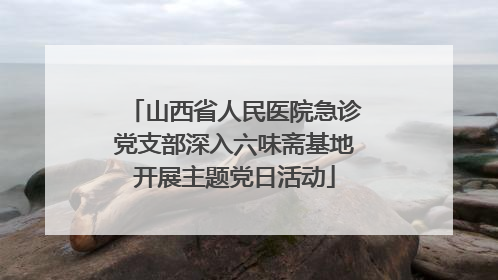 山西省人民医院急诊党支部深入六味斋基地开展主题党日活动