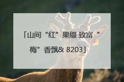山间“红”果缀 致富“梅”香飘& 8203