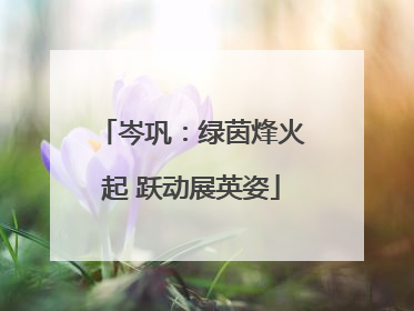 岑巩：绿茵烽火起 跃动展英姿