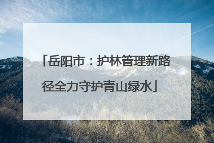 岳阳市：护林管理新路径全力守护青山绿水