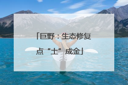 巨野：生态修复点“土”成金