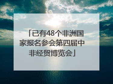 已有48个非洲国家报名参会第四届中非经贸博览会