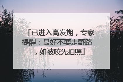 已进入高发期，专家提醒：最好不要走野路，如被咬先拍照