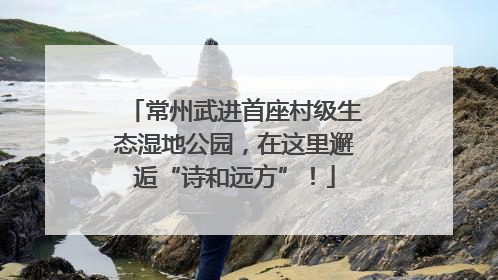 常州武进首座村级生态湿地公园，在这里邂逅“诗和远方”！
