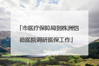 市医疗保障局到株洲恺德医院调研医保工作
