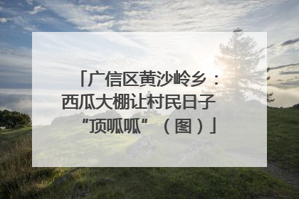 广信区黄沙岭乡：西瓜大棚让村民日子“顶呱呱”（图）