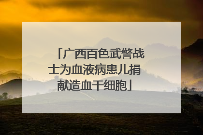 广西百色武警战士为血液病患儿捐献造血干细胞