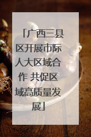 广西三县区开展市际人大区域合作 共促区域高质量发展