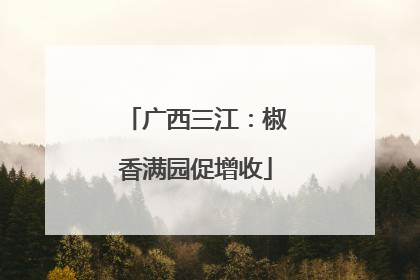 广西三江：椒香满园促增收
