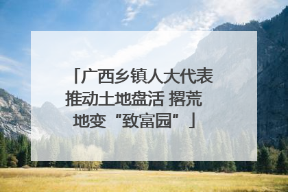 广西乡镇人大代表推动土地盘活 撂荒地变“致富园”