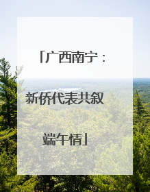 广西南宁：新侨代表共叙端午情