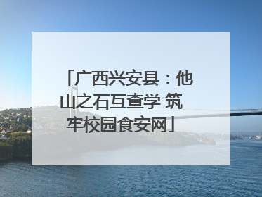 广西兴安县：他山之石互查学 筑牢校园食安网