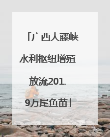 广西大藤峡水利枢纽增殖放流201.9万尾鱼苗