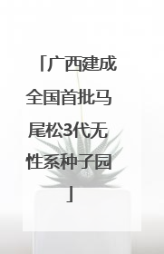 广西建成全国首批马尾松3代无性系种子园