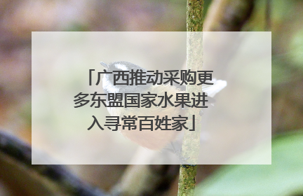 广西推动采购更多东盟国家水果进入寻常百姓家