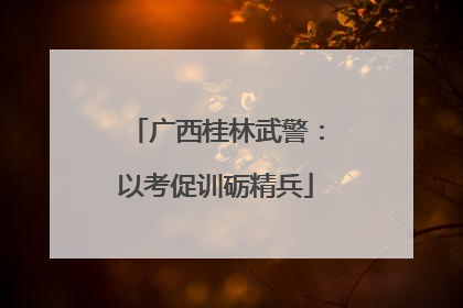 广西桂林武警：以考促训砺精兵