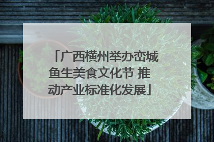 广西横州举办峦城鱼生美食文化节 推动产业标准化发展