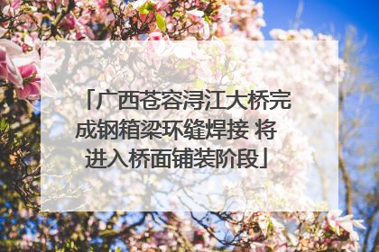 广西苍容浔江大桥完成钢箱梁环缝焊接 将进入桥面铺装阶段